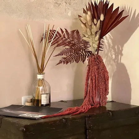 בית הארחה The Magnificent Maison Du Charme