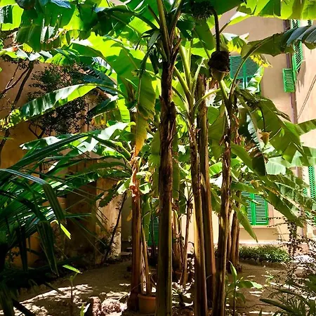 The Magnificent Maison Du Charme